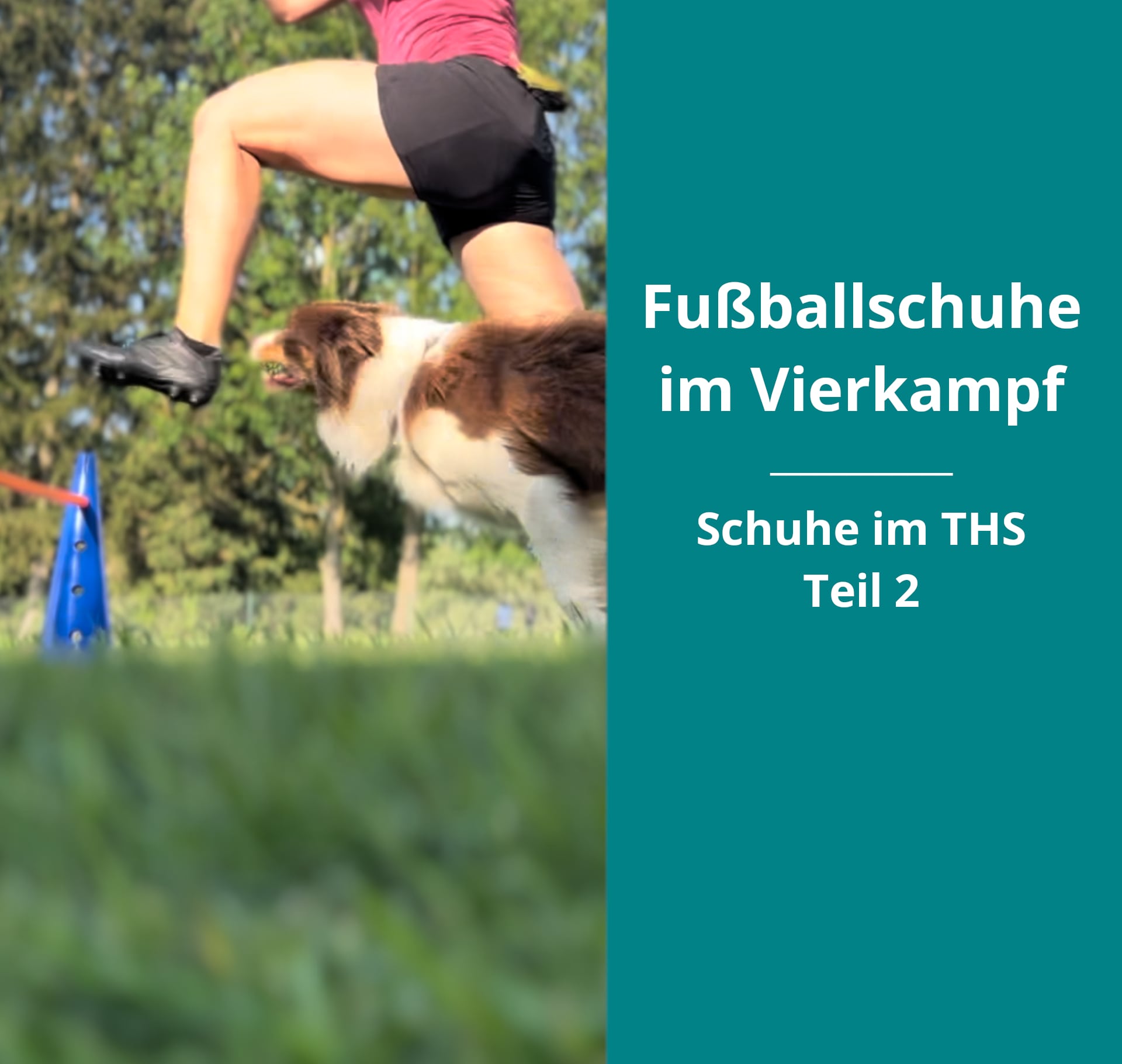 Border Collie Ayx läuft mit Hundesportlerin Bianca Glatz den Hürdenlauf des Vierkampfs im Turnierhundsport. Im Fokus sind die Fußballschuhe.