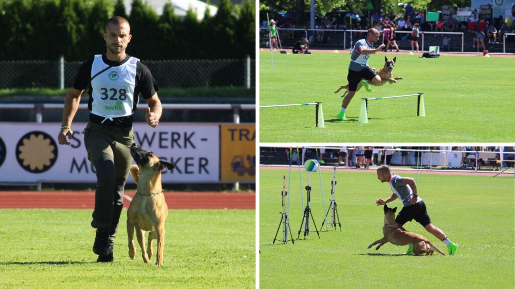 Die Collage zeigt den Vierkämpfer Fabian Gegenheimer bei der Unterordnung, dem Hürdenlauf und am Start des Slaloms der Turnierhundsport Disziplinen.