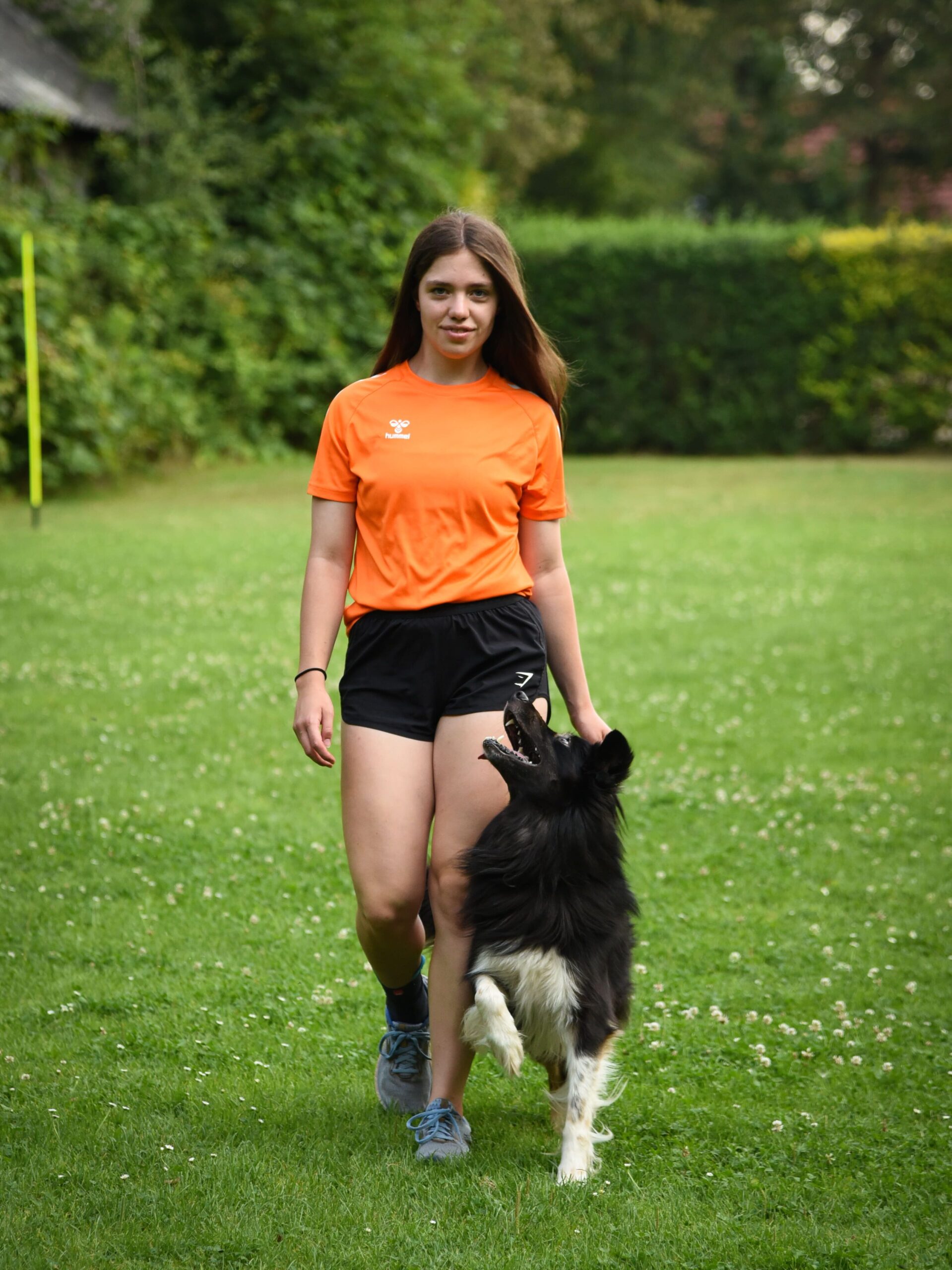 Turnierhundsport Vierkämpferin Melina Eickermann mit ihrem Border Collie Bounty bei der Unterordnung. Bounty läuft freudig Fuß und schaut die Hundesportlerin aktiv an.