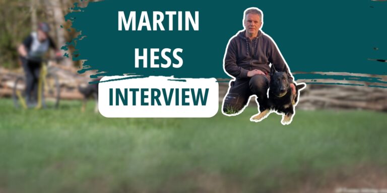 Interview mit dem swhv THS-Obmann Martin Hess