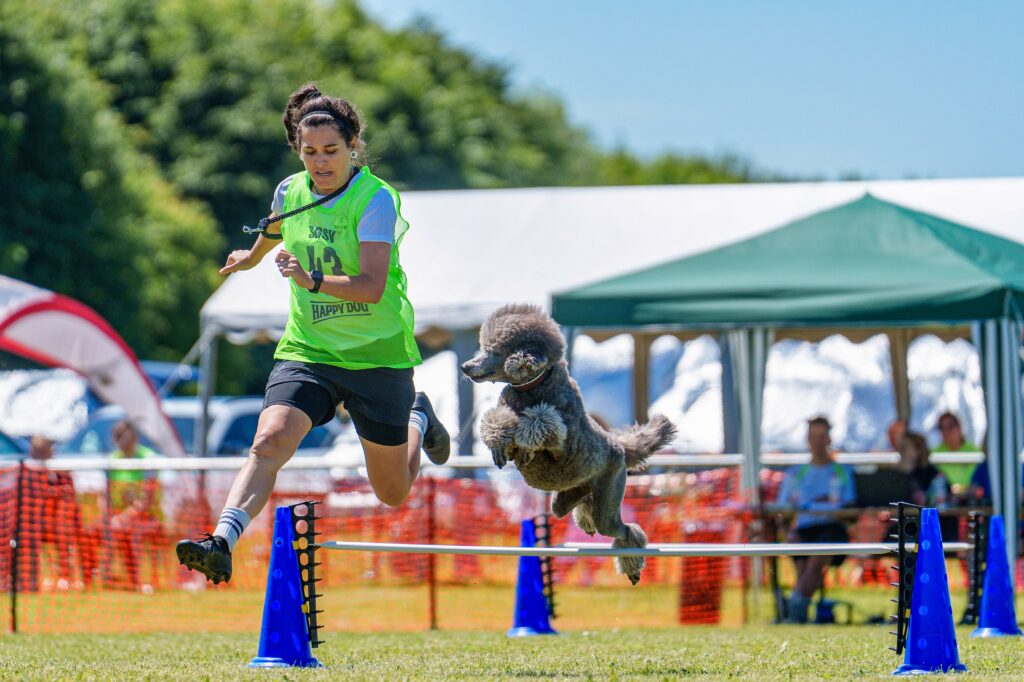 Eden Miles und Pudel Hanta beim Hürdenlauf des Turnierhundsport