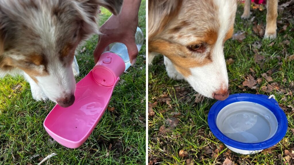 Zwei Bilder mit Hunden die aus Wässernäpfen für Wanderungen oder den Hundesport trinken. Ein Napf für unterwegs hat einen integrierten Wasserbehälter, der andere ist faltbar.