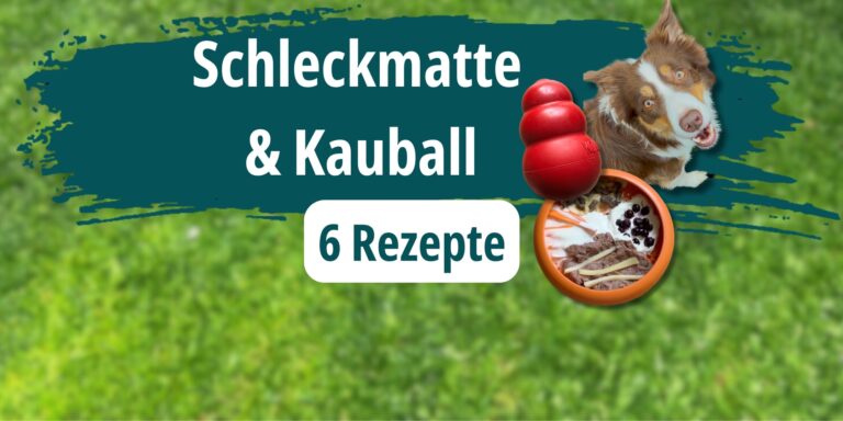 6 Rezepte: Schleckmatte für Hunde