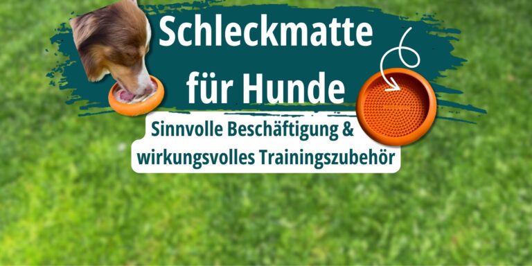 Schleckmatte für Hunde: Sinnvolle Beschäftigung & wirkungsvolles Trainingszubehör