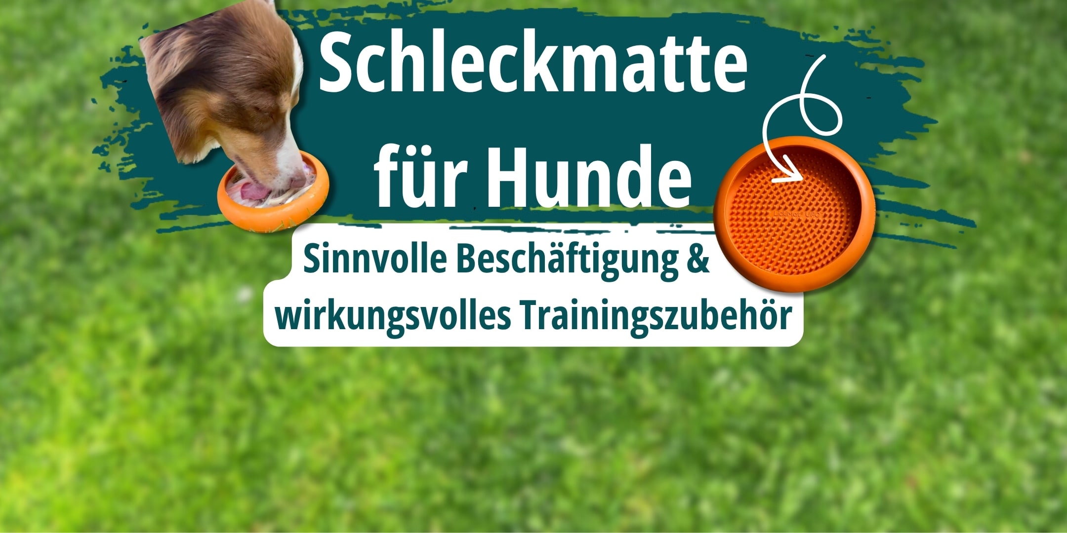 Boder Collie von Bianca Glatz schleckt eine Schleckmatte für Hunde. Die Überschrift gibt den Hinweis auf den Blogbeitrag "Schleckmatte für Hunde Sinnvolle Beschäftigung und wirkungsvolles Trainingszubehör". Daneben ist eine Lickimat in UFO-Form abgebildet und ein Pfeil zeigt darauf.