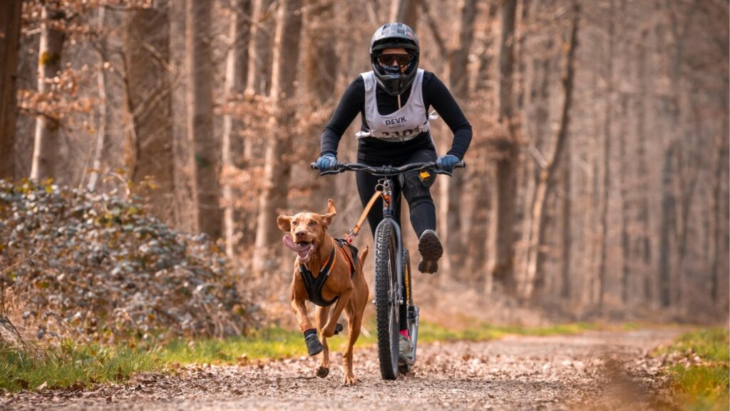 Lilien Hauser vom HSV Sparts Süßen auf dem Dogscooter mit Hündin Pheline wie sie durch den Wald fliegen. 