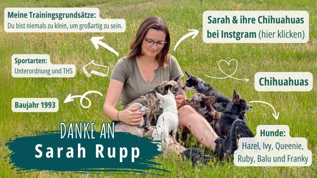In der Mitte der Grafik sitze Sarah Rupp gemeinsam mit ihren Chihuahuas entspannt in der Wiese. Drumherum sind Informationen, Trainingsansätze und Fakten zu Sarah und ihren kleinen Hunden im Hundesport aufgelistet. 
