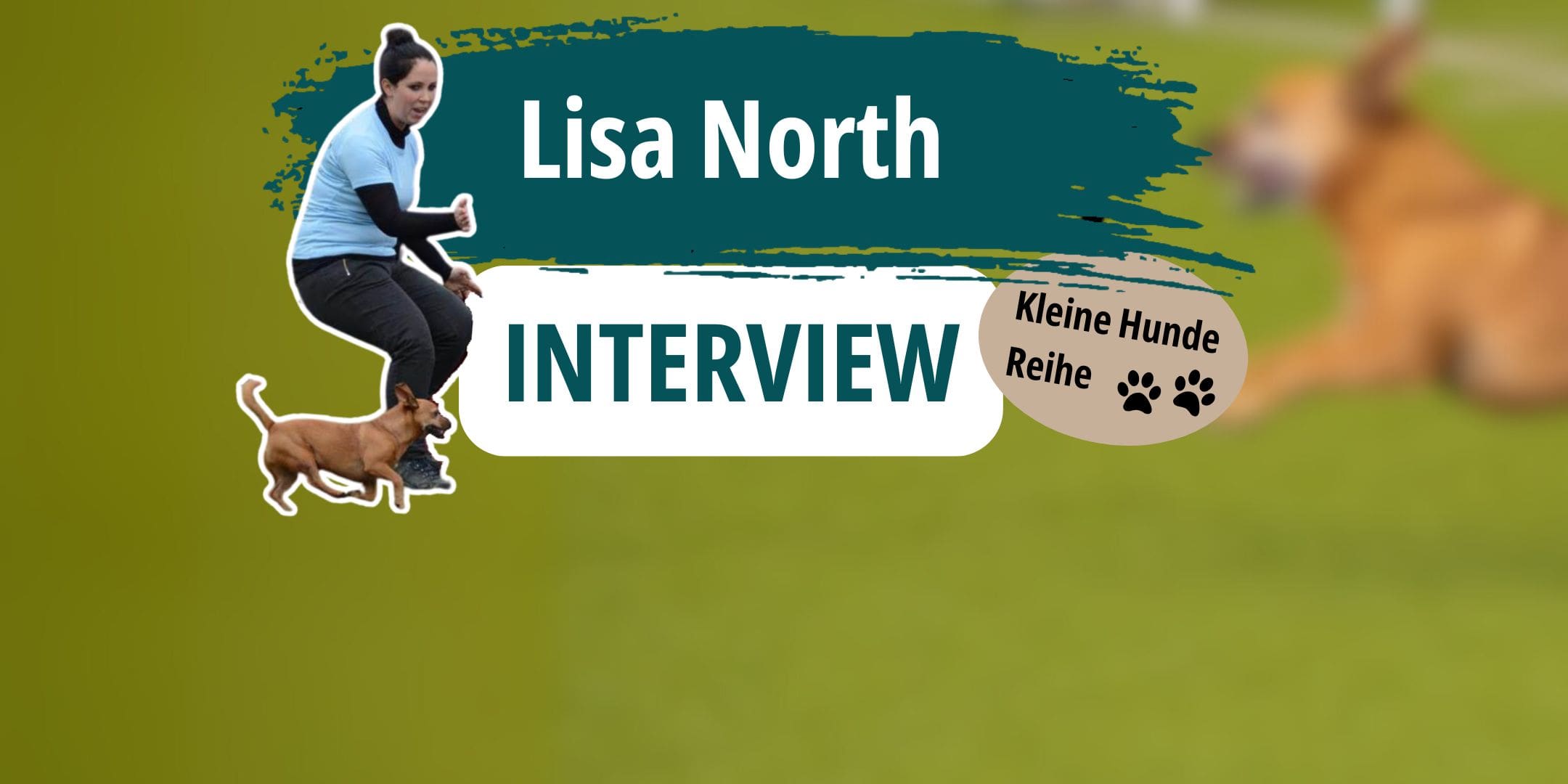 Interview mit Agility-Sportlerin Lisa North - mit ihrem Terrier Pedro läuft sie durch jeden Agility-Parcours.