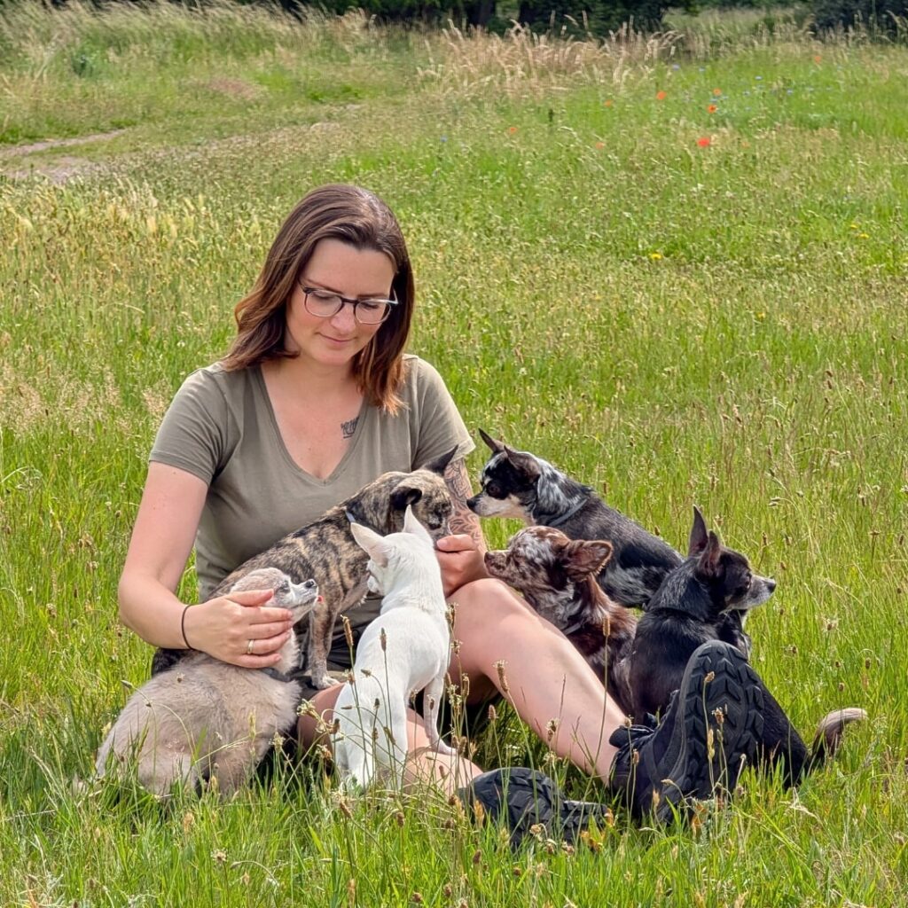 Sarah Rupp sitzt entspannt in einer Wiese, umgeben von ihren sechs Chihuahuas. Ihre kleinen Hunde beweisen, dass auch kleine Rassen im Hundesport glänzen können.