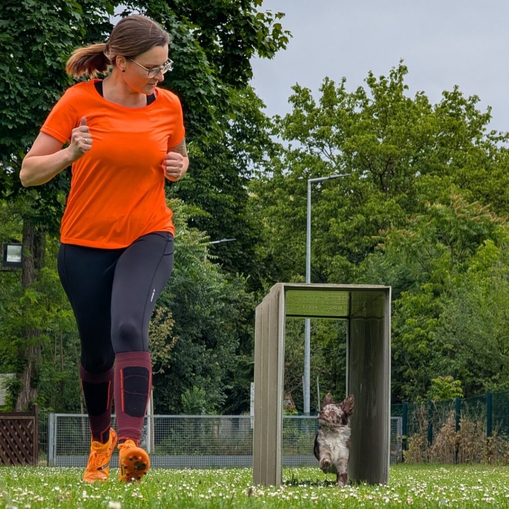 Hundesportlerin Sarah Rupp rennt mit ihrem Chihuahua die Hindernisbahn im Turnierhundesport. Ihr kleiner Hund rennt durch den Tunnel und blickt freudig zu Sarah hoch.
