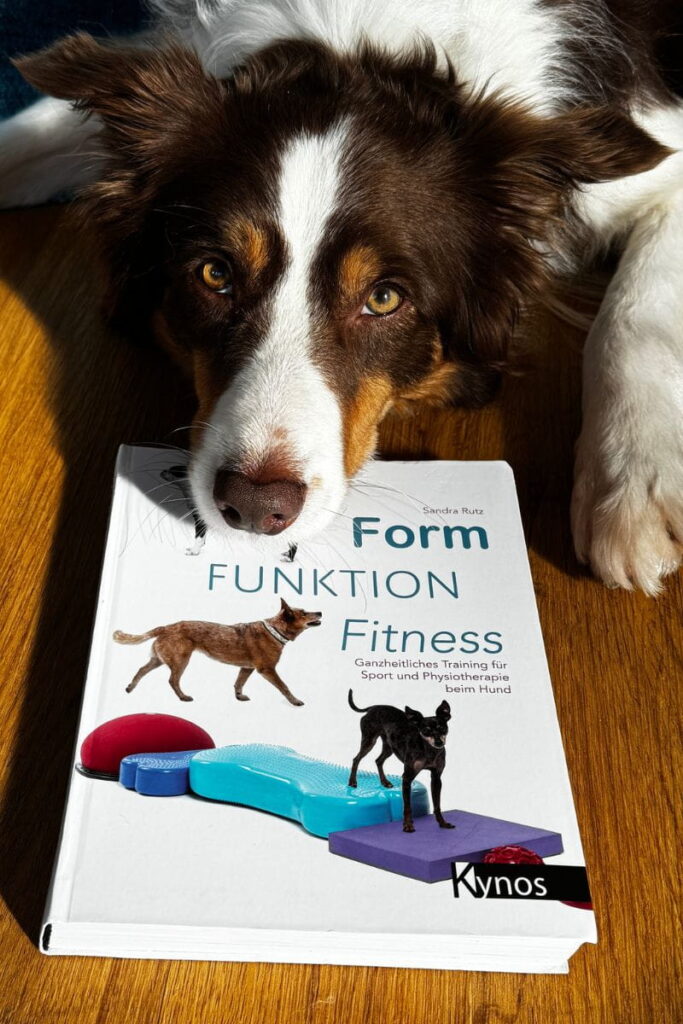 Hund liegt auf dem Buch „Form Funktion Fitness“ von Sandra Rutz zum Thema Hundefitness