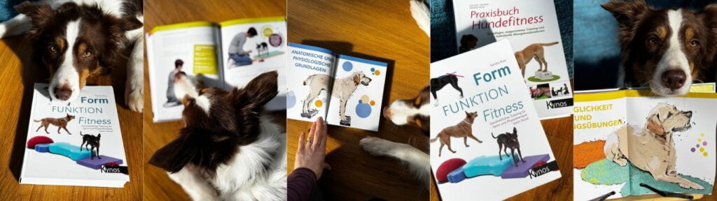 Collage zeigt das Buch „Form Funktion Fitness“ von Sandra Rutz im Einsatz mit Hund