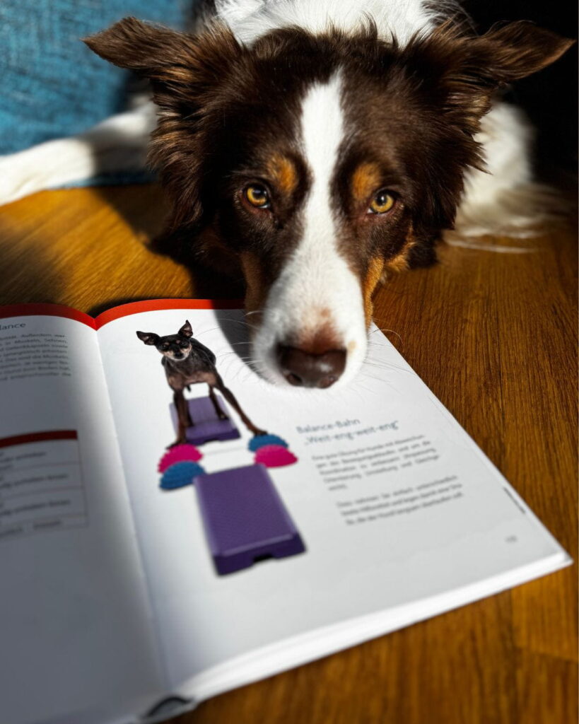 Hund liegt über einem aufgeschlagenen Buch „Form Funktion Fitness“ von Sandra Rutz