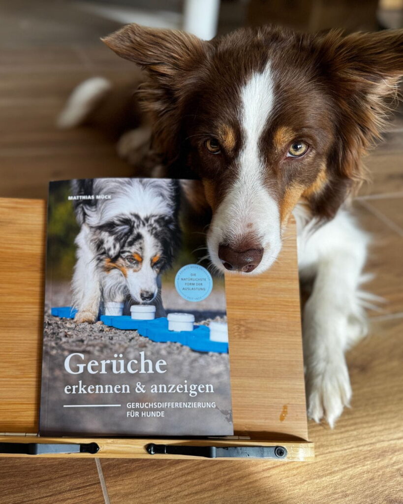 Border Collie liegt neben dem Buch „Gerüche erkennen & anzeigen“ von Matthias Mück und schaut aufmerksam in die Kamera.