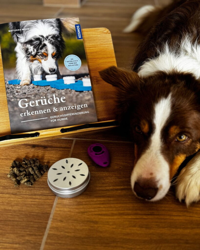 Border Collie liegt neben dem Buch „Gerüche erkennen & anzeigen – Geruchsdifferenzierung für Hunde“ von Matthias Mück. Daneben liegen Trainingsmaterialien und Leckerlis für die Nasenarbeit auf einem Holzboden.