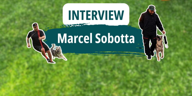 Titelgrafik zum Interview mit Marcel Sobotta, der mit seinen Hunden im Turnierhundsport aktiv ist. Zu sehen sind Szenen aus Hundesport und Unterordnungstraining.