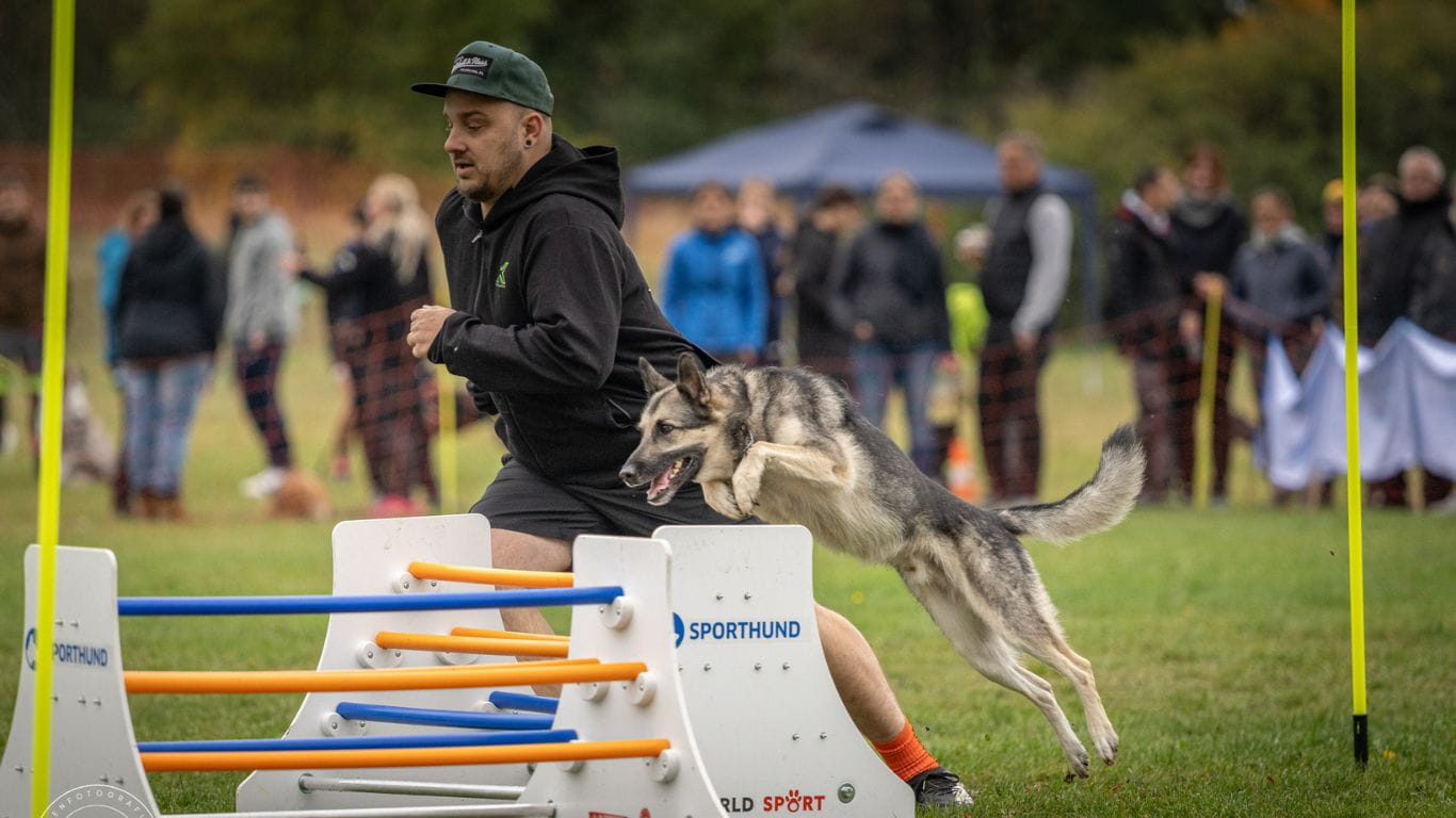Hund springt beim Turnierhundsport über einen Ochser neben Marcel Sobotta während eines CSC-Wettkampfs.