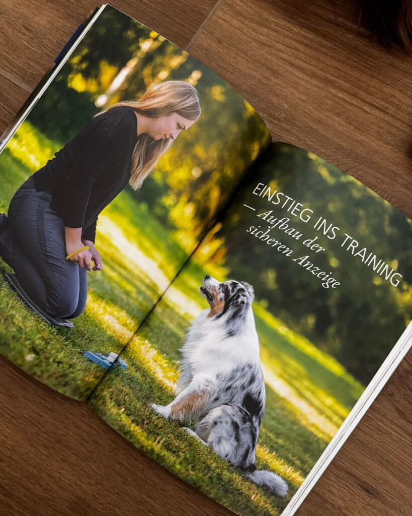 Aufgeschlagenes Buch mit Trainingsszene: Eine Frau kniet vor einem Australian Shepherd im Freien, daneben die Kapitelüberschrift „Einstieg ins Training – Aufbau der sicheren Anzeige“.