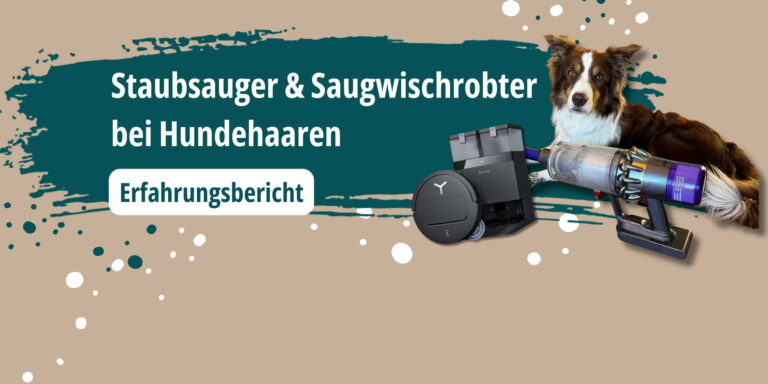 Staubsauger und Saug-Wischroboter bei Hundehaaren: Border Collie mit Dyson V11 und Saugroboter im Erfahrungsbericht.