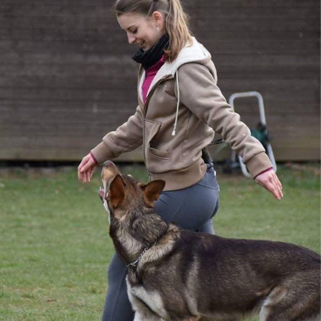 Nina Cappello führt ihren Hund bei einer Unterordnungsübung, während dieser Aufmerksam zu ihr auf schaut.