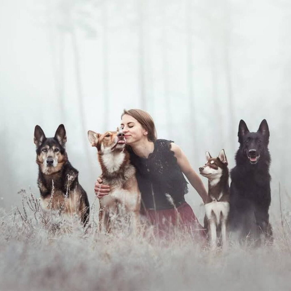Nina Cappello sitz mit vier Hunden bei einem Fotoshooting im Freien