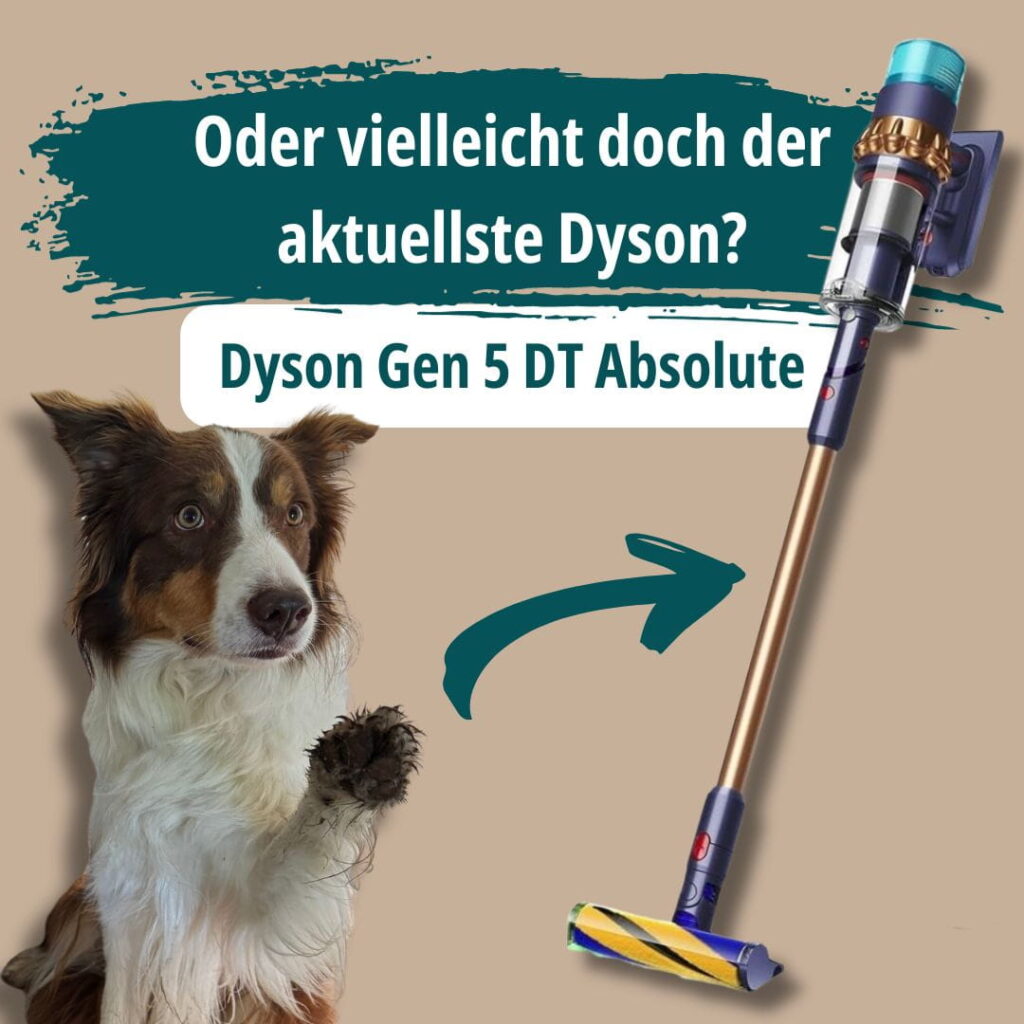 Border Collie und Dyson Gen5 DT Absolute Akkustaubsauger als aktuelles Dyson-Modell für Hundehaushalte.
