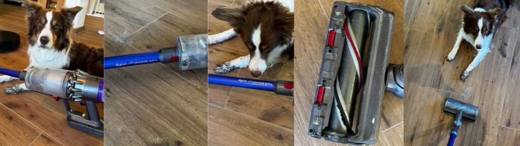 Dyson V11 Absolute Extra im Praxistest bei Hundehaaren: Border Collie, Hundehaare auf dem Boden und die Elektrobürste des Akkustaubsaugers im Einsatz.